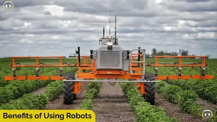 Benefits of Using Robots in Agriculture