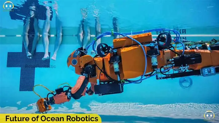 Future of Ocean Robotics