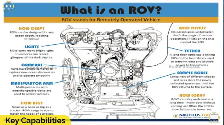 Key Capabilities of Underwater Robots