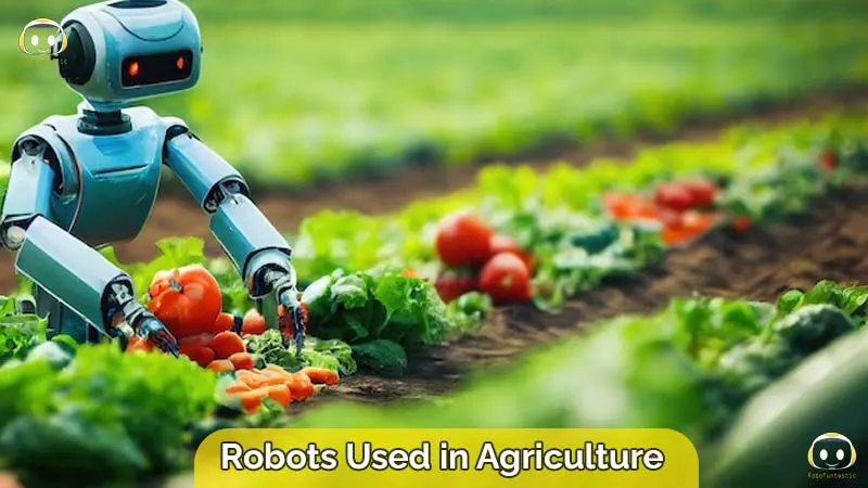 Robots are Used in Agriculture