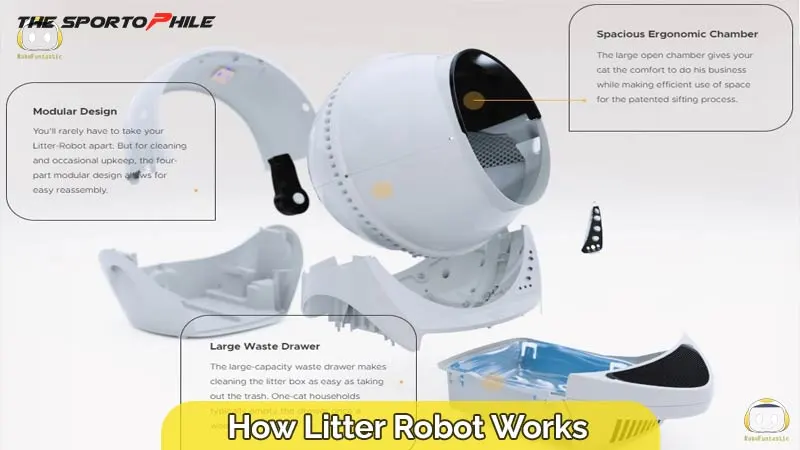 Litter robot how often change outlet litter