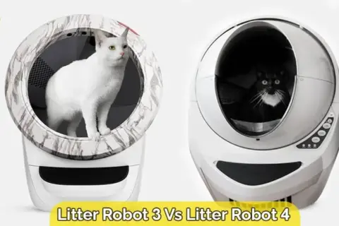 litter-robot-3-vs-litter-robot-4